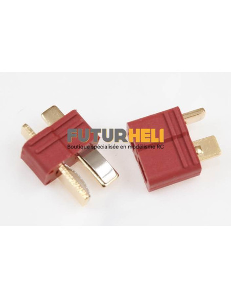 Fiche "T" Dean Male + Femelle