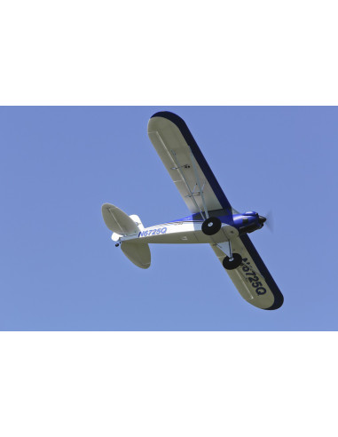 CARBON-Z CUB PNP e-flite