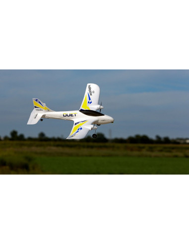 Duet RTF avion de début Hobbyzone