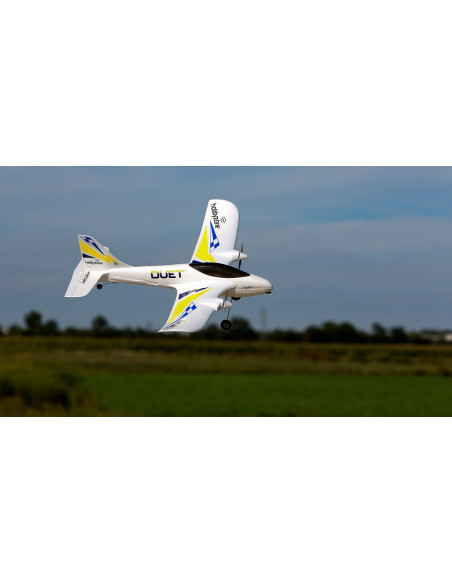 Duet RTF avion de début Hobbyzone