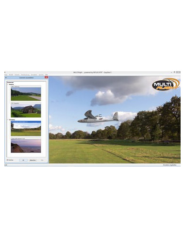 Simulateur multiflight + Multiplex 855332