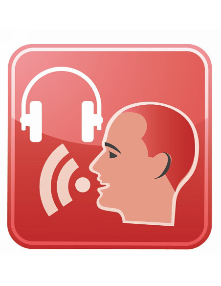 MZ24 Graupner Hott 12 voies +2récepteurs