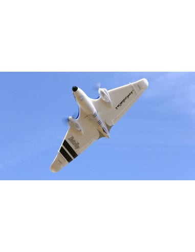 HBZ7980 Delta ray BNF aile volante Hobbyzone