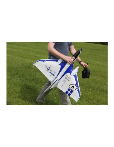 HBZ7980 Delta ray BNF aile volante Hobbyzone