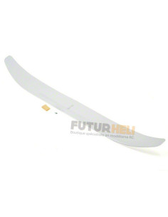EFLU2920 aile Radian UMX E-flite