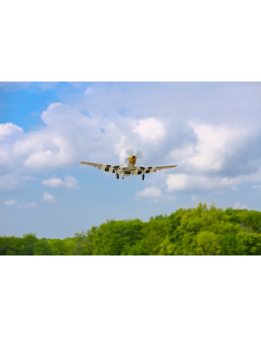 P51D Mustang BNF+train rentrant+Récep AS3X E-flite EFL6750
