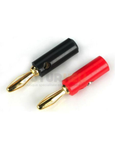 Prises banane plaqué or avec vis Dynamite DYNC0036