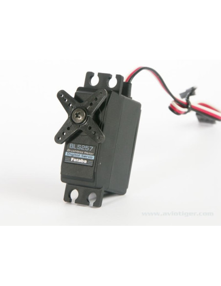 BLS 257 Futaba