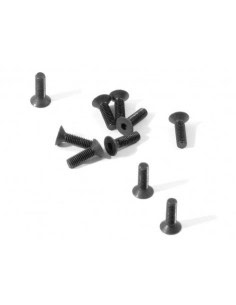 Vis Hex tête plate M3 x 10 mm HPI