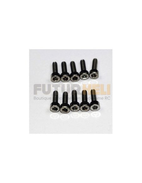 Vis BTR Inox 2,5 x 10 mm (X10)