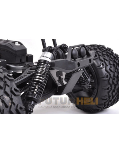 Pirate Grizzly 1/8 brushless 4WD RTR T2M T4915