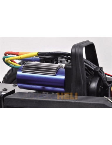 Pirate Grizzly 1/8 brushless 4WD RTR T2M T4915