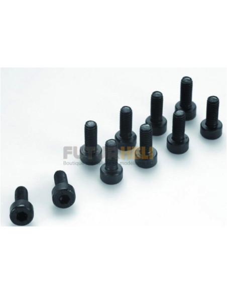 Vis BTR M2 x 8 Acier S10 (x10)