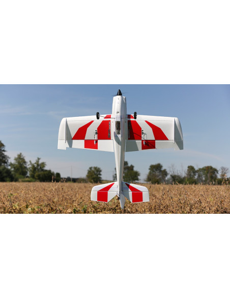 Night Visionnaire Led Basic BNF E-flite EFL7150