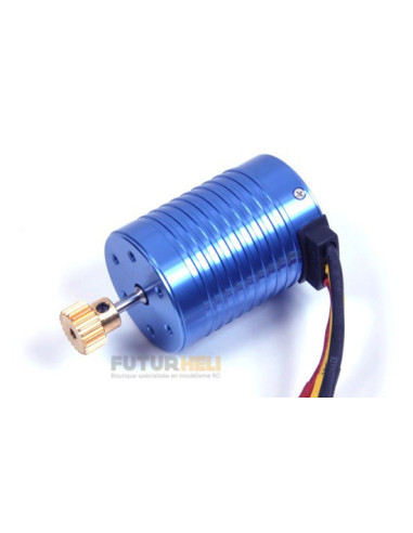 Moteur brushless  pour gamme pirate T2M