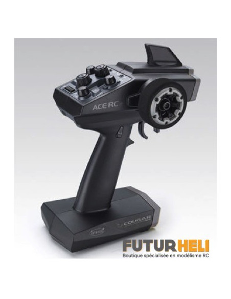 EB4 S25 Thunder Tiger Voiture Thermique