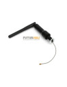 Antenne complète DX6I Spectrum SPM6830
