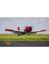 T-28 carbon-Z AS3X BNF env 2M E-flite EFL1350