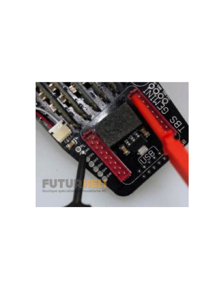 programmateur Esc Gemini