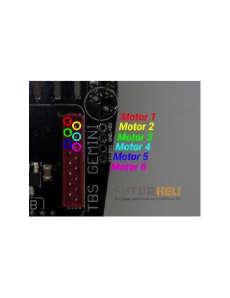 programmateur Esc Gemini