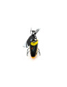 Blade Nano CPS BNF + SAFE BLH2480