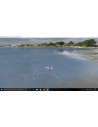 Simulateur Phoenix V5.5 RTM5500