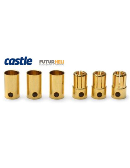CC Bullet 8mm Castle 3 males 3 femelles
