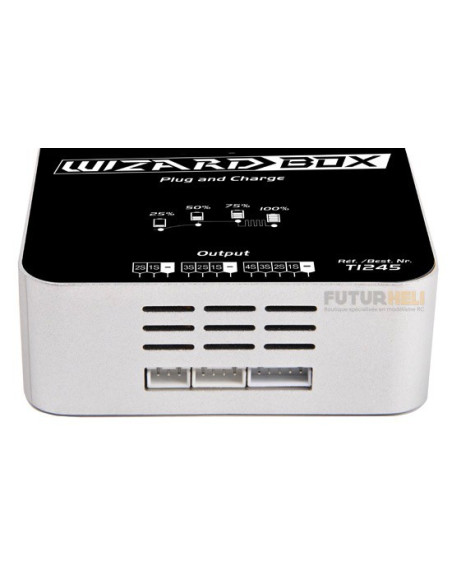 Wizards Box chargeur 220V lipo 2 à 4 S puissance 4A T2M T1245