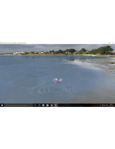 Simulateur Phoenix V5.5 RTM5500