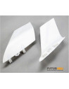 EFL11111 Winglet Opterra E-flite
