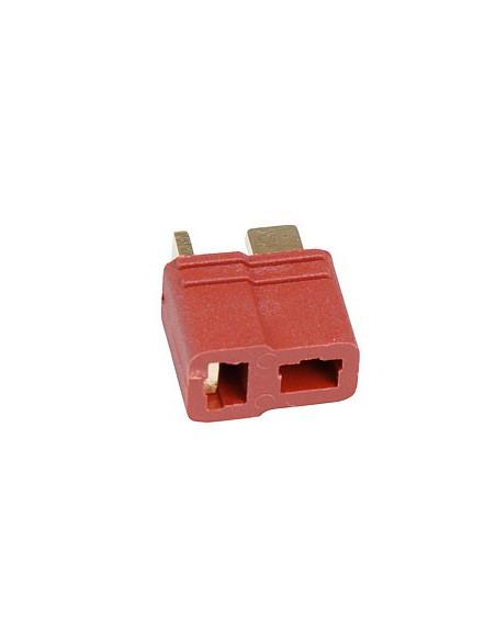 Fiche Dean Femelle ( Super Plug ) Graupner