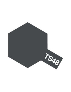 TS48 Gris canon marine Tamiya Bombe peinture