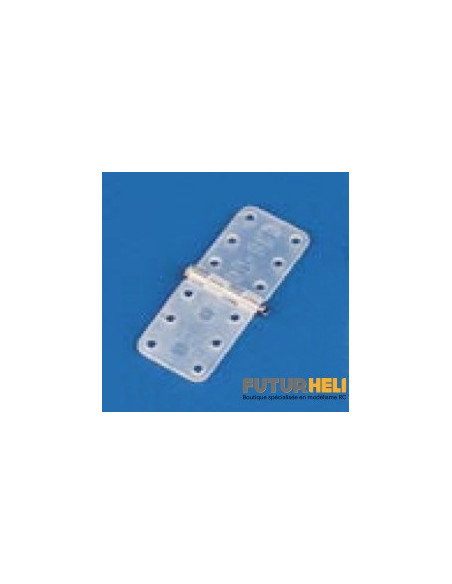 Charnières 11x28 mm axe métalique (X6)