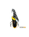 Blade Nano CPS RTF avec radio mode2 Blade Heli BLH2400