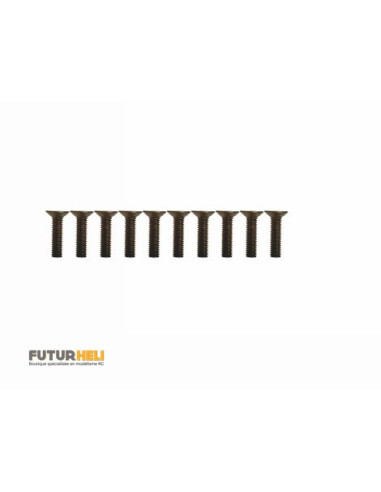 Vis BTR tête fraisées (x10) M3x12