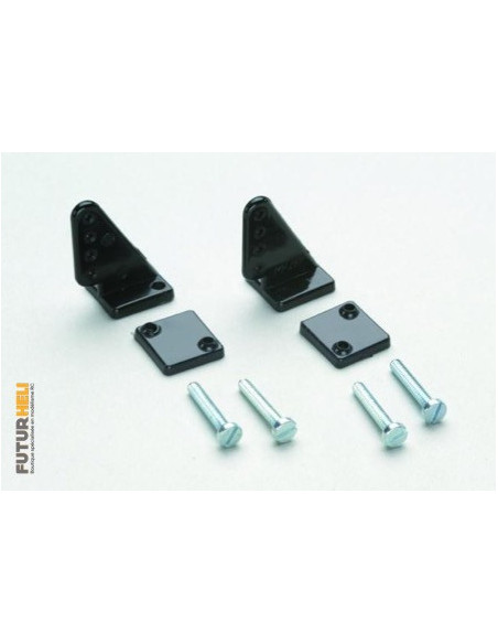 Guignol 19mm trous 1mm (x2) Gforce