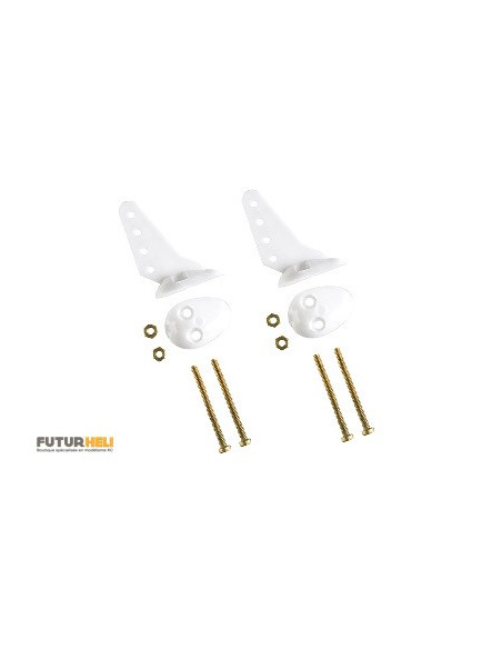 Guignol 22mm avec vis (x2)