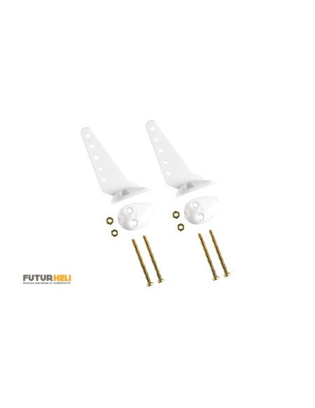 Guignol 22mm avec vis (x2)