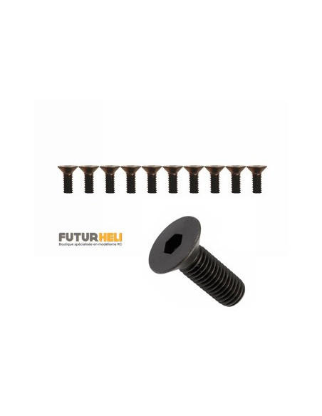 Vis BTR tête fraisée M3X8mm 10 pièces