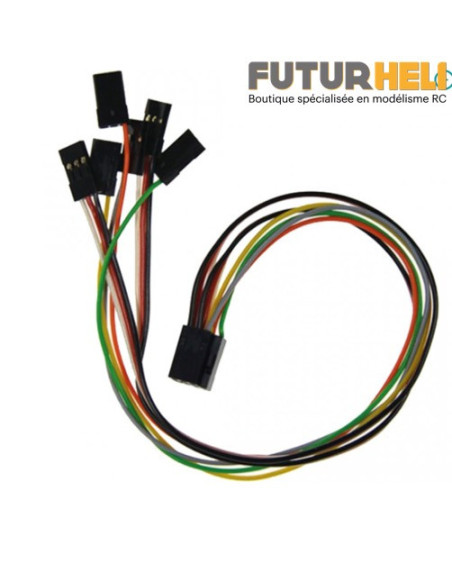 Bavarian Demon faisceau 250mm pour 3Sx/3X/Cortex