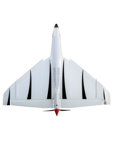 E-flite Delta Ray One RTF + radio (EFL9500EU)