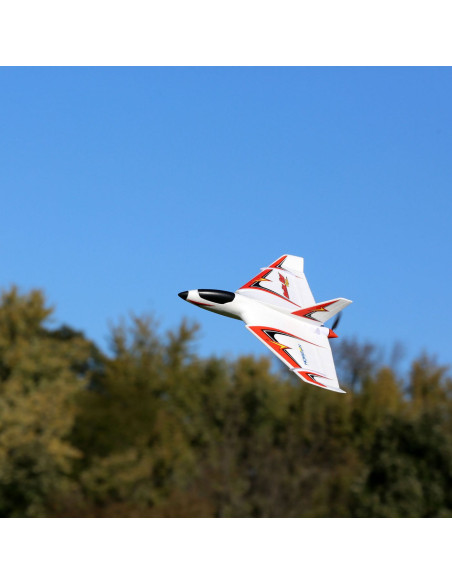 E-flite Delta Ray One RTF + radio (EFL9500EU)