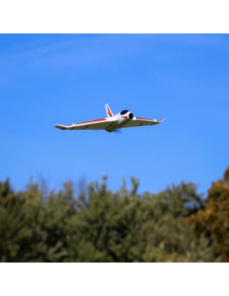 E-flite Delta Ray One RTF + radio (EFL9500EU)