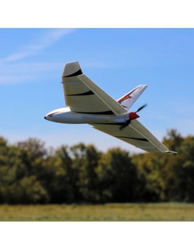 E-flite Delta Ray One RTF + radio (EFL9500EU)