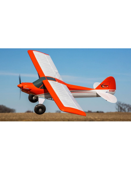 Carbon Z cub SS (env 2,1m) BNF + AS3X-Safe EFL12450