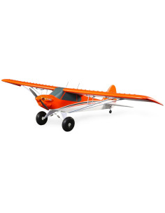 Carbon Z cub SS (env 2,1m) BNF + AS3X-Safe EFL12450 2