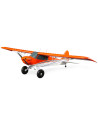 Carbon Z cub SS (env 2,1m) BNF + AS3X-Safe EFL12450