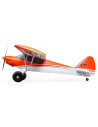 Carbon Z cub SS (env 2,1m) BNF + AS3X-Safe EFL12450
