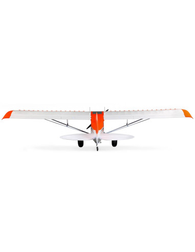 Carbon Z cub SS (env 2,1m) BNF + AS3X-Safe EFL12450