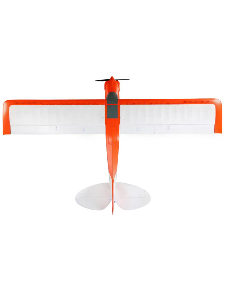 Carbon Z cub SS (env 2,1m) BNF + AS3X-Safe EFL12450